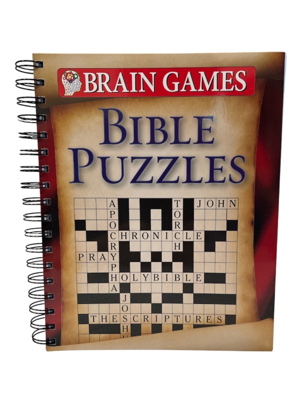 BIBLE PUZZLES Large Print and Pen